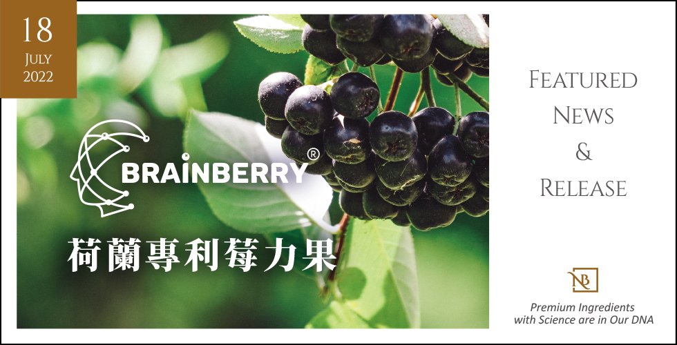 荷蘭專利野櫻莓