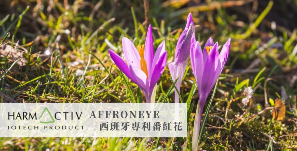 Affroneye西班牙專利番紅花