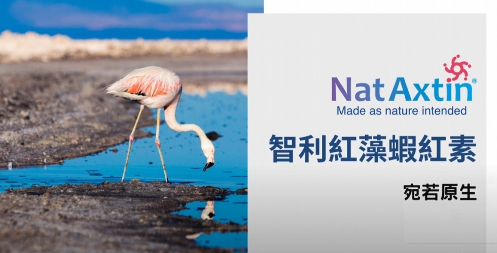 NatAxtin 智利紅藻蝦紅素